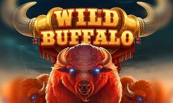 Wild Buffalo